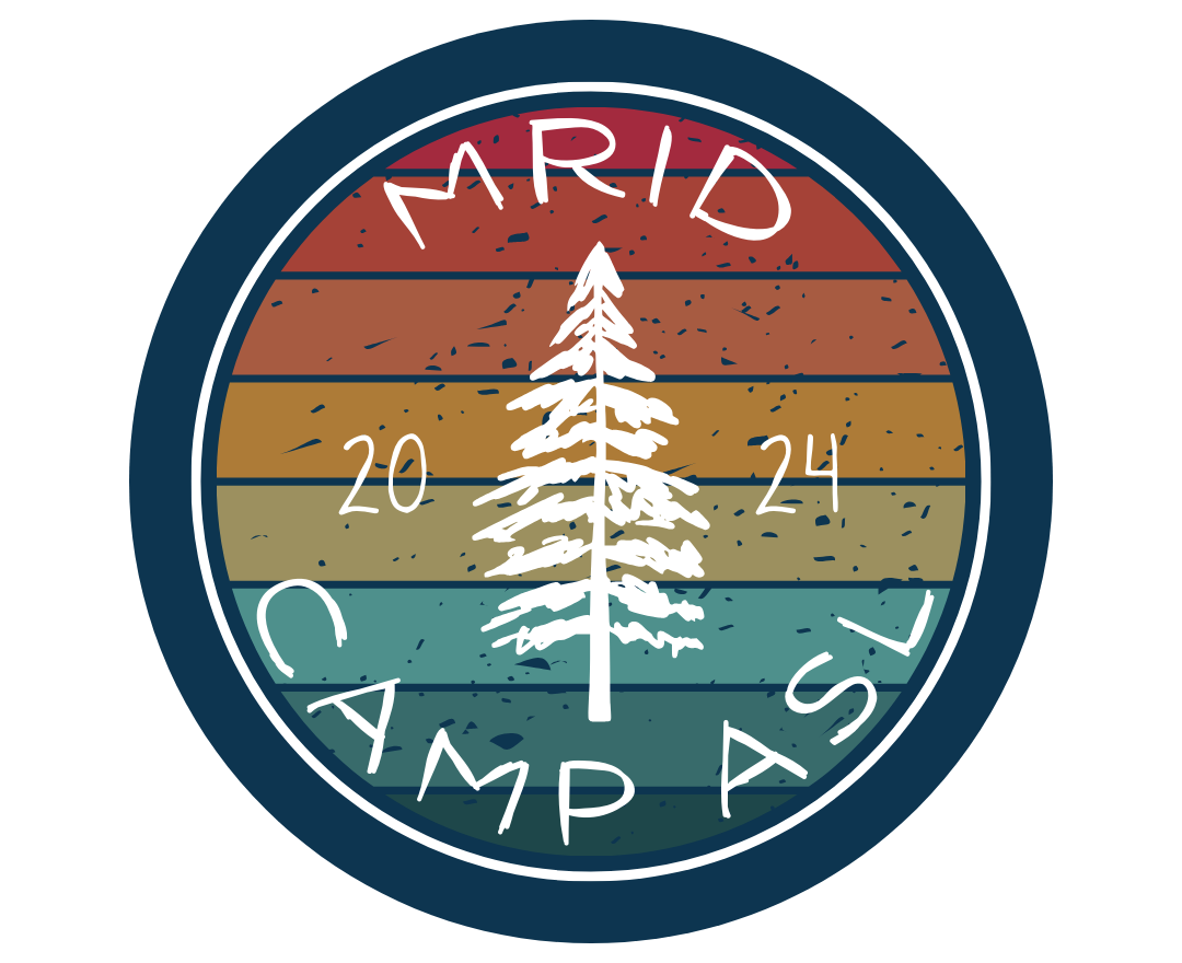 2024 Camp ASL Logo white pine tree on rainbow slats